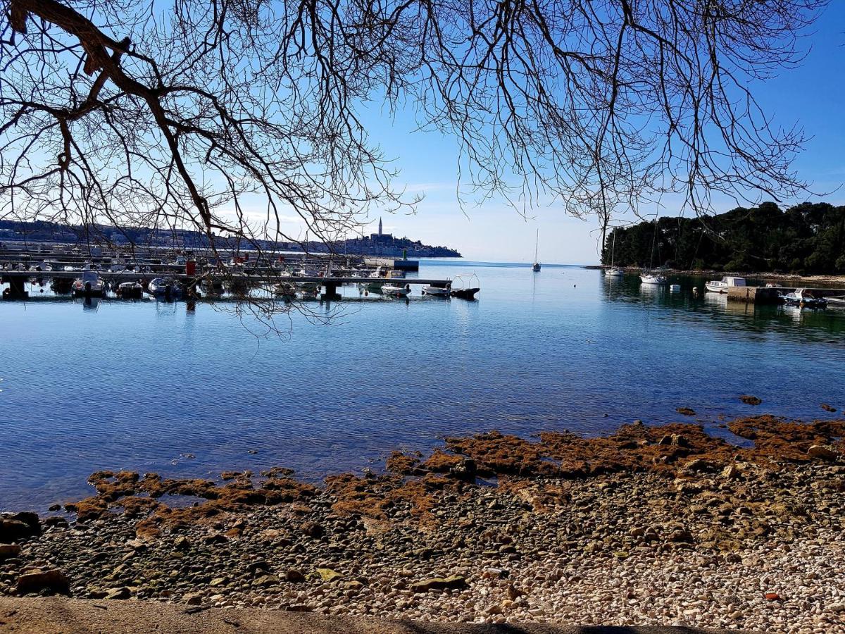 Martin Apartments Ρόβινι Εξωτερικό φωτογραφία
